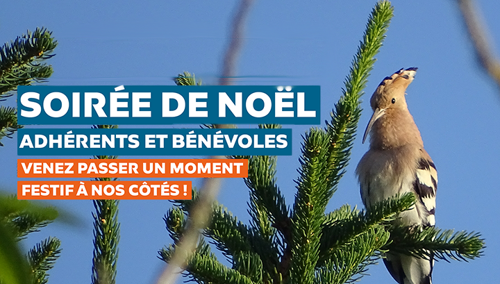 Soirées de Noël adhérents et bénévoles